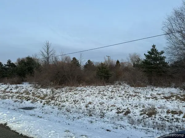 lots 161 162 16 Bellaire, Harbor Beach, MI 48441