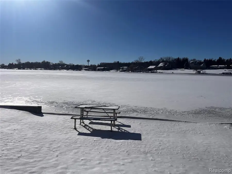 8252 Woodland Shore, Brighton, MI  - #3