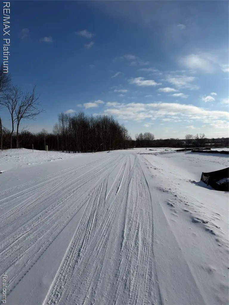 V/L Lot #2 Sweetheart, Brighton, MI 48114 - #3