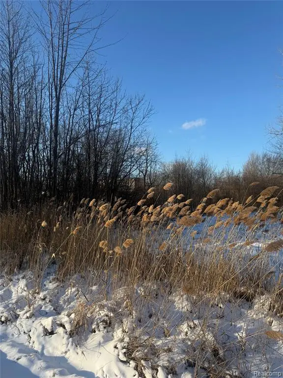 Sublot 41 Charles, Clinton Township, MI 48035 - Image #1