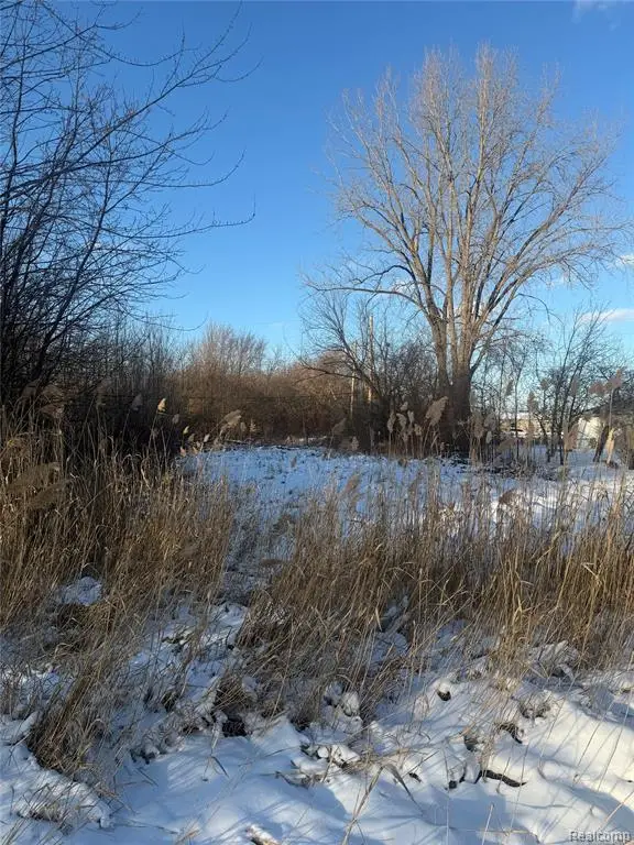 Sublot 41 Charles, Clinton Township, MI 48035 - Image #3