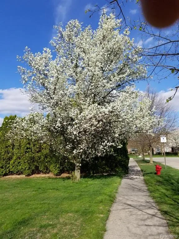 24404 Simmons, Novi, MI  - Image #2