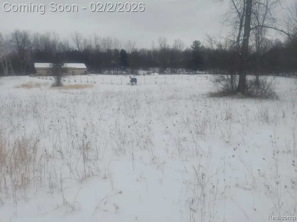 0 N Washburn Rd Vacant Land, Davison, MI 48423 - Image #1