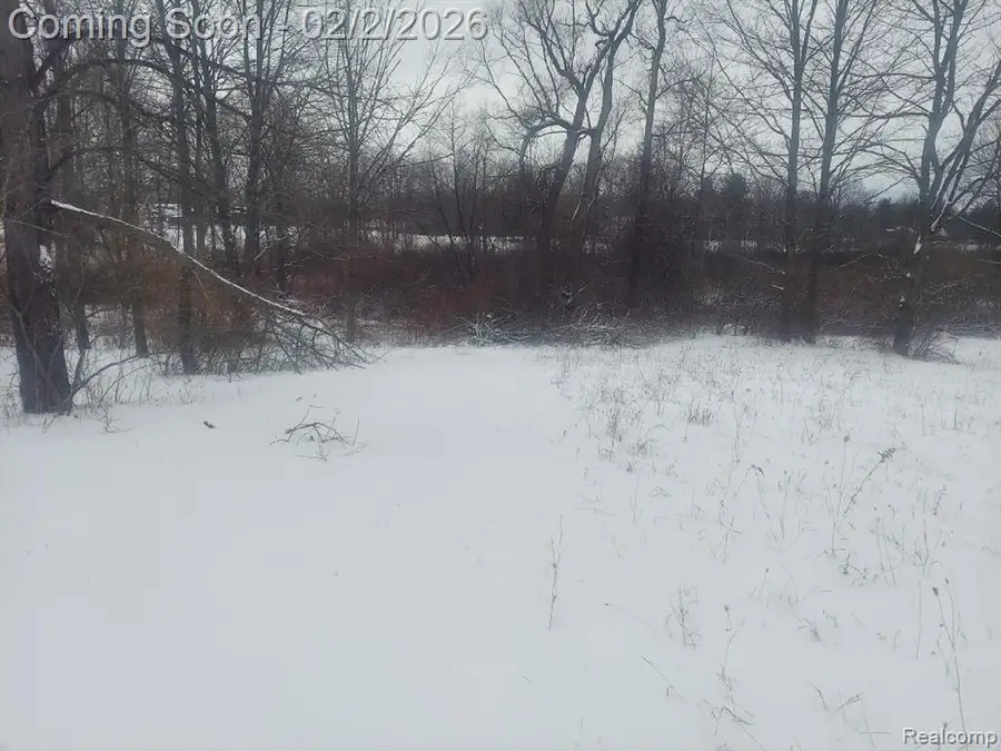 0 N Washburn Rd Vacant Land, Davison, MI 48423 - Image #2