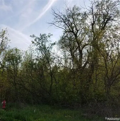 0000 S Lapeer, Lake Orion, MI 48362