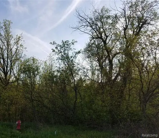 0000 S Lapeer, Lake Orion, MI 48362 - #2