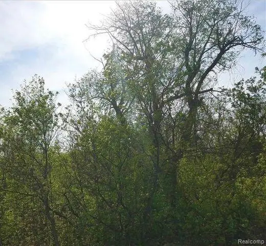 0000 S Lapeer, Lake Orion, MI 48362 - #3