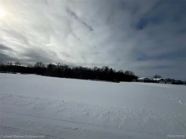 Parcel 2 & 3 Nelson William, Update, MI 48462