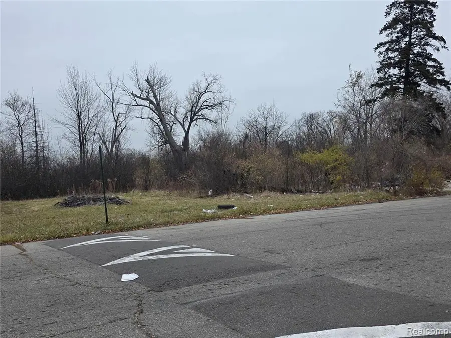 19628 Danbury, Highland Park, MI  - Image #3