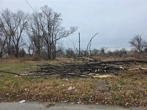 528 Adeline, Highland Park, MI 