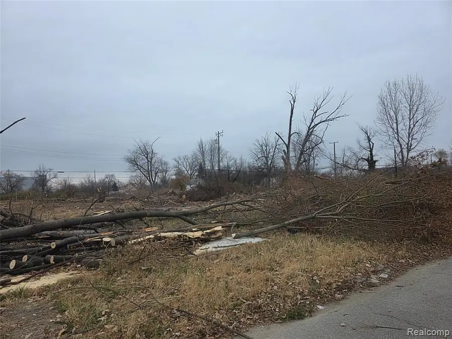 528 Adeline, Highland Park, MI  - Image #2