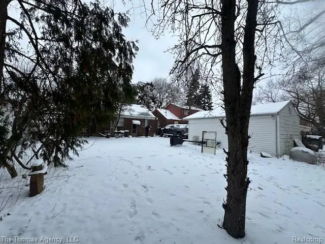 20294 Prevost, Detroit, MI  - Image #3