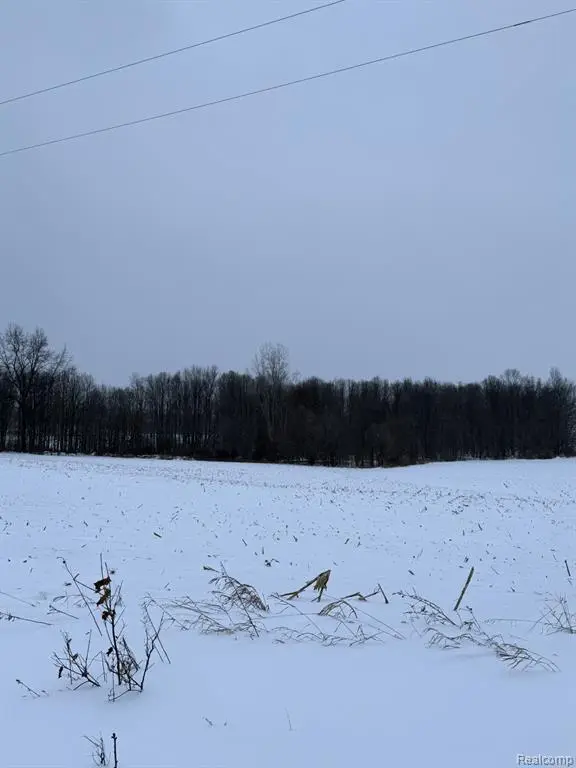 00 Thom, Columbiaville, MI 48721