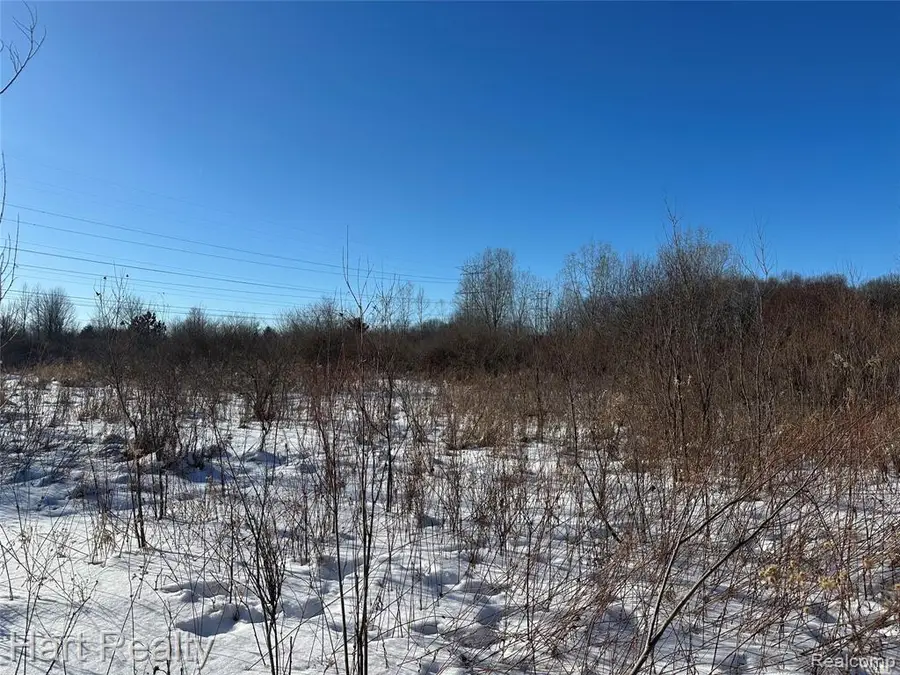 13 Single Tree, Dryden, MI 48428 - #2