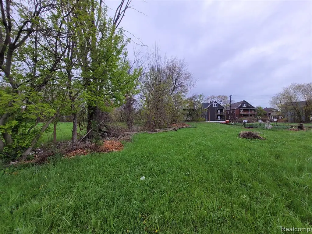 2148 Field, Detroit, MI 48214 - #1