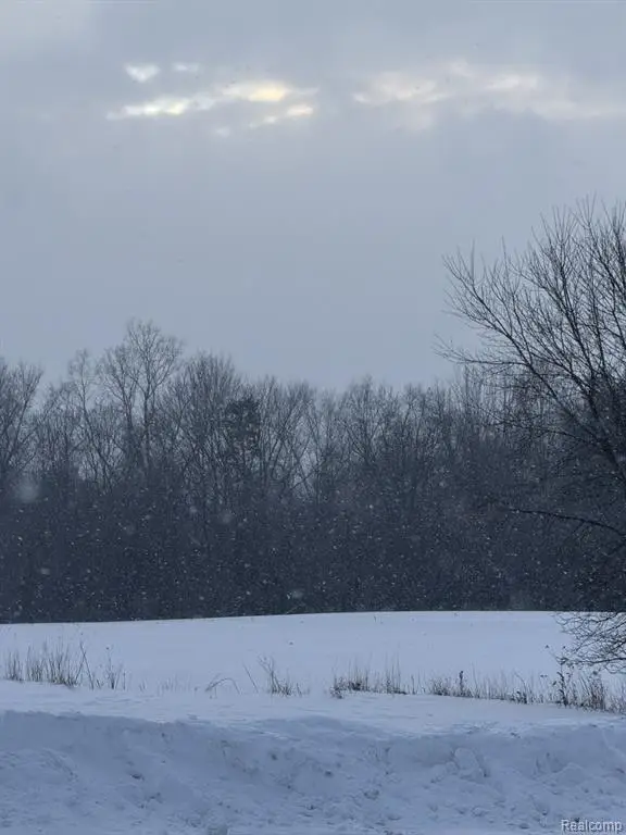 VL Levalley Levalley, Columbiaville, MI 48421 - #1