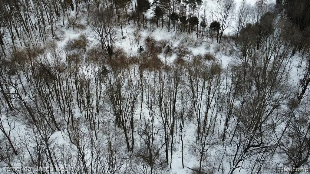 4297 Dinser, Whitmore Lake, MI 48189 - #1