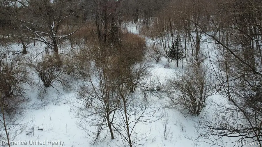 4297 Dinser, Whitmore Lake, MI 48189 - #3