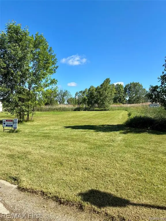 39 Deer Park, Capac, MI 48014 - #3
