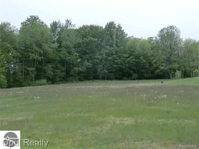 Lot 30 Third, Arcadia, MI 49613 - #3