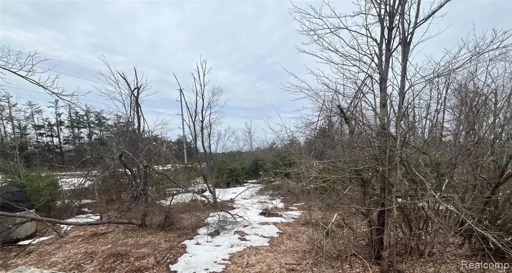 Lot 41 Altorf Strasse, Gaylord, MI 49735 - #1