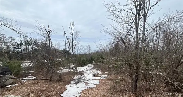 Lot 41 Altorf Strasse, Gaylord, MI 49735