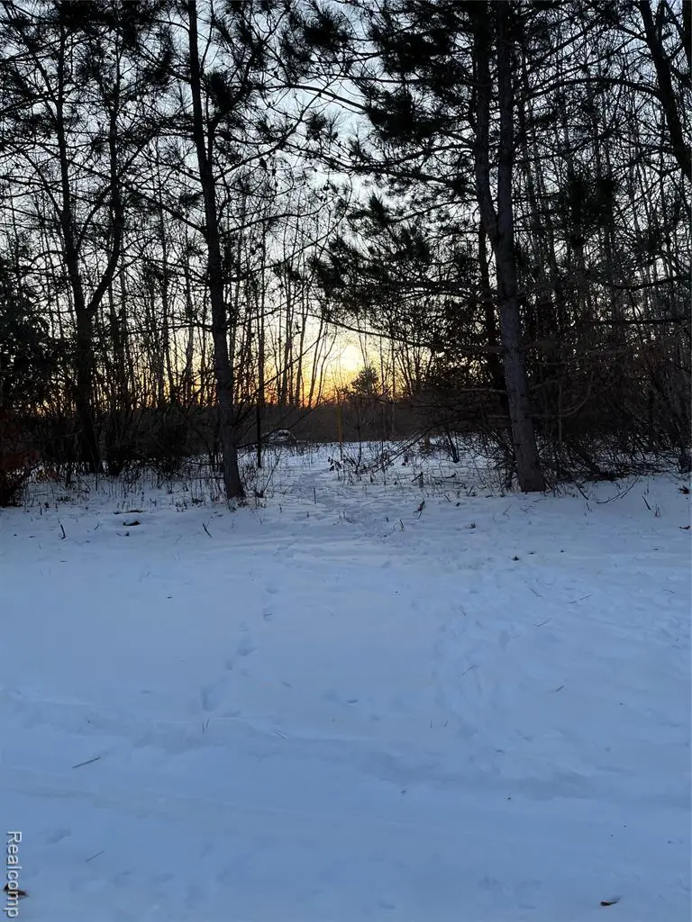 3000 S Genuine, Chippewa, MI  - #2