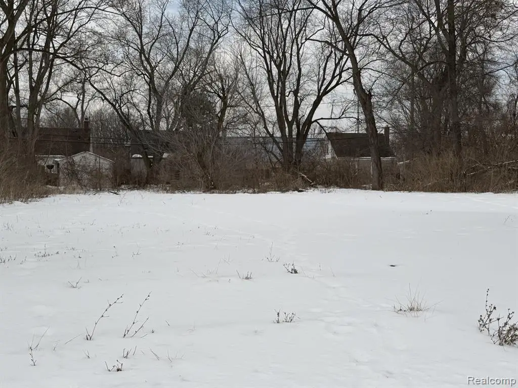 12853 Pierson, Detroit, MI 48223 - #1