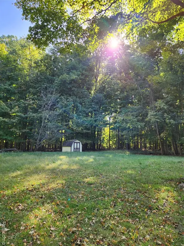 15973 Walnut, Buchanan, MI 