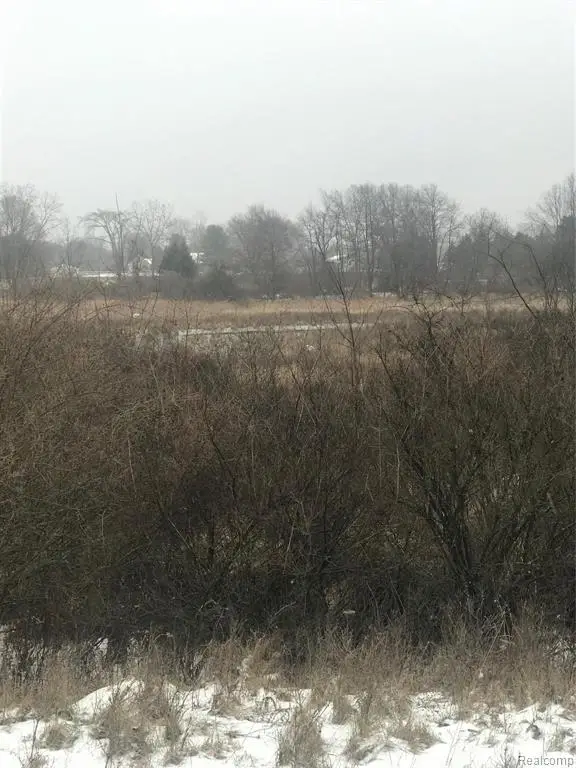 VL Hinchey, Pinckney, MI 48169 - #3