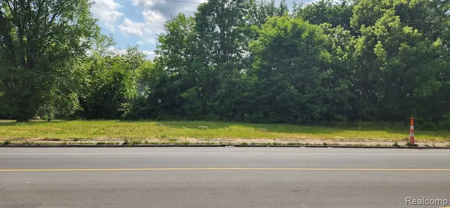 2705 Mount Elliott, Detroit, MI 48207 - #3