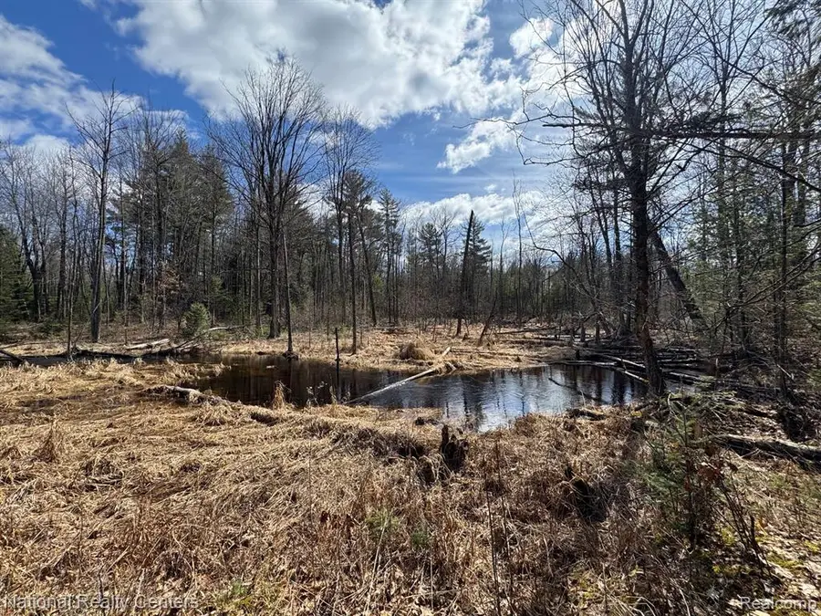 4233 Hardacre, Houghton Lake, MI 48629 - #2