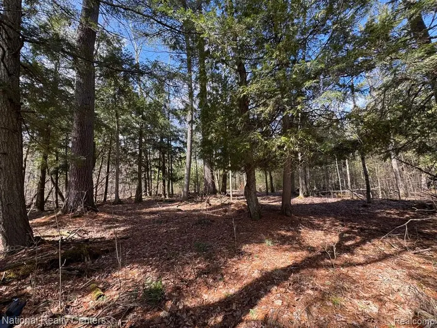 4233 Hardacre, Houghton Lake, MI 48629 - #3