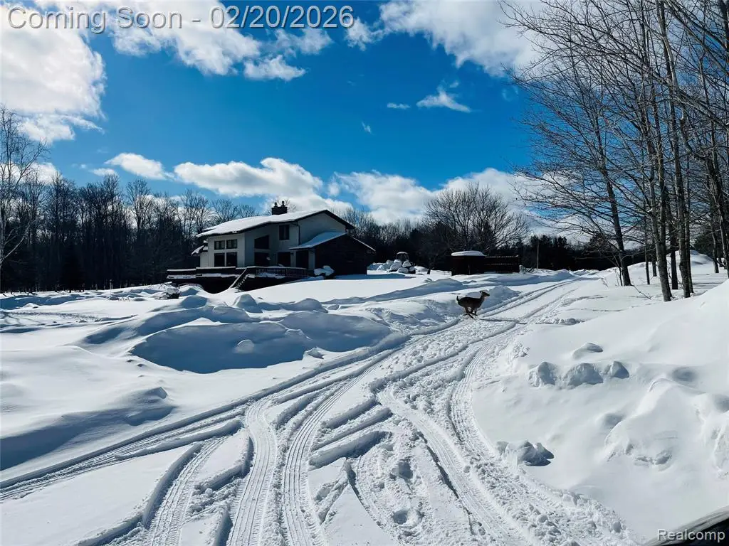 21805 S Wilwin, Trout Lake, MI 49793 - #1