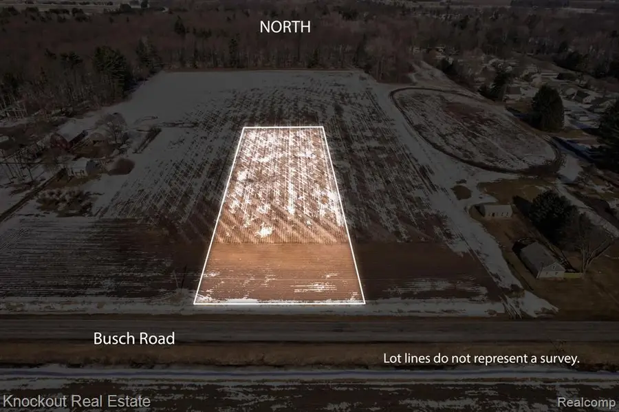 VL Busch (parcel B), Birch Run, MI 48415 - #2