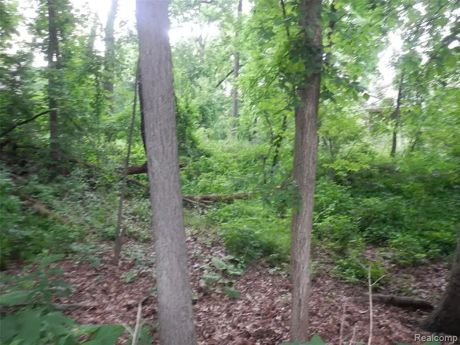 00000 Johnson Drive, Lake Orion, MI 48362 - #2