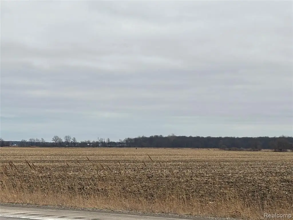 000 S. Custer, Monroe, MI 48161 - #1