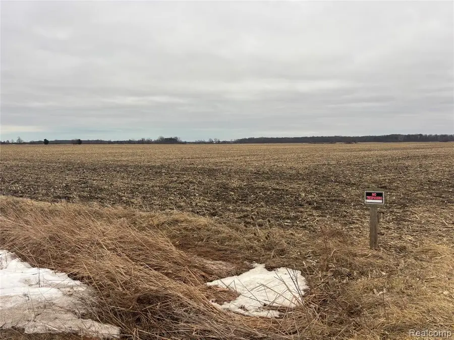 000 S. Custer, Monroe, MI 48161 - #3