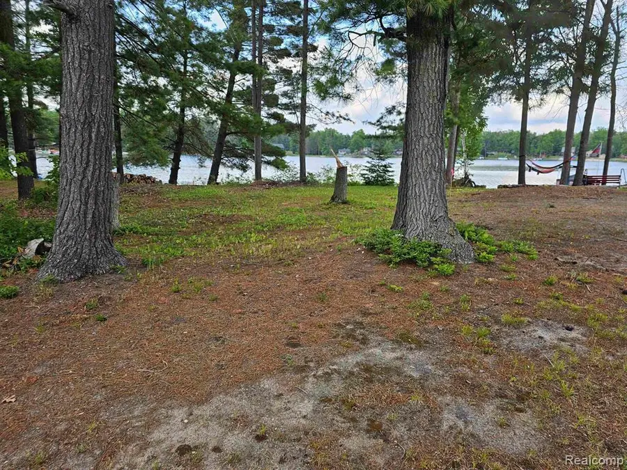Lot 12 Paradise, South Branch, MI 48761 - #3