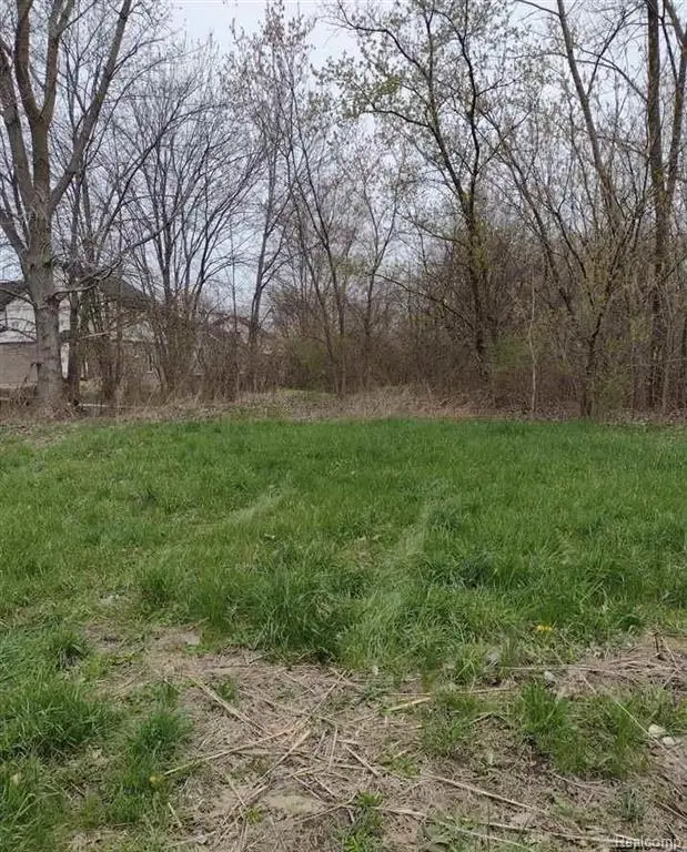 00 N Cotton, Chesterfield, MI 48047 - #2