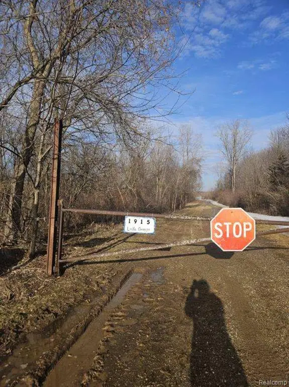 1915 S Lake George, Attica, MI 