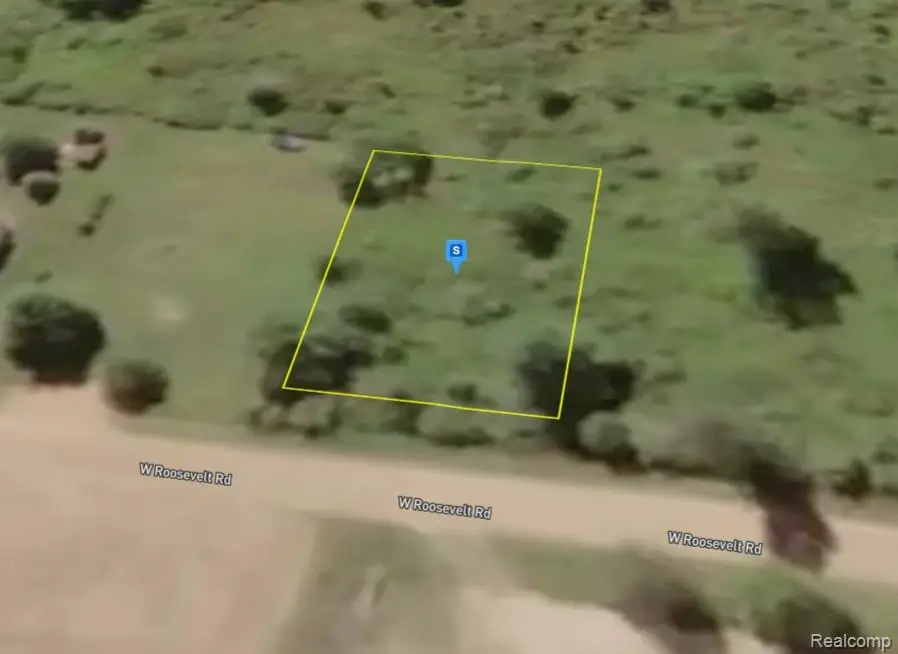 4231 W Roosevelt, Middleton, MI 48856 - #2