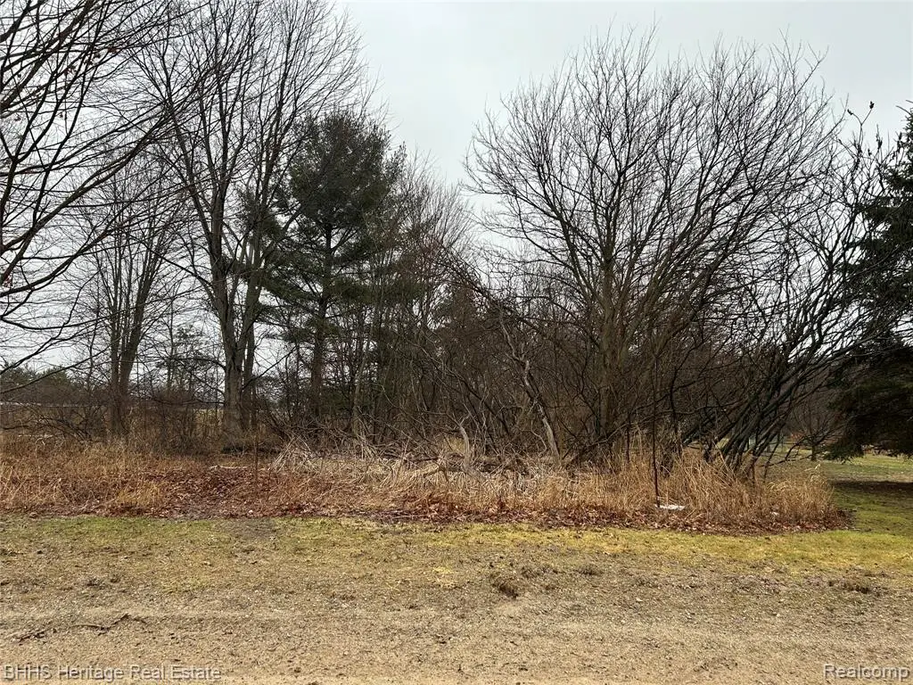 0 Cedar Rd, Fowlerville, MI 48836 - #1