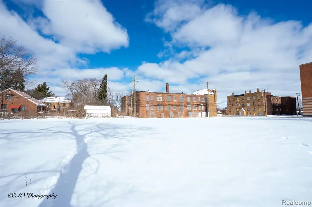 13505 Greiner, Detroit, MI 48205 - #1