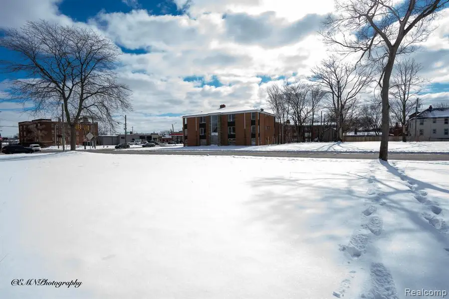 13505 Greiner, Detroit, MI 48205 - #3