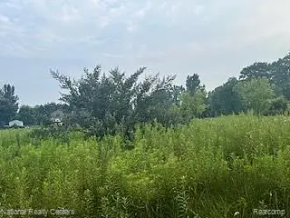 00 Stow, Webberville, MI 48892 - #1