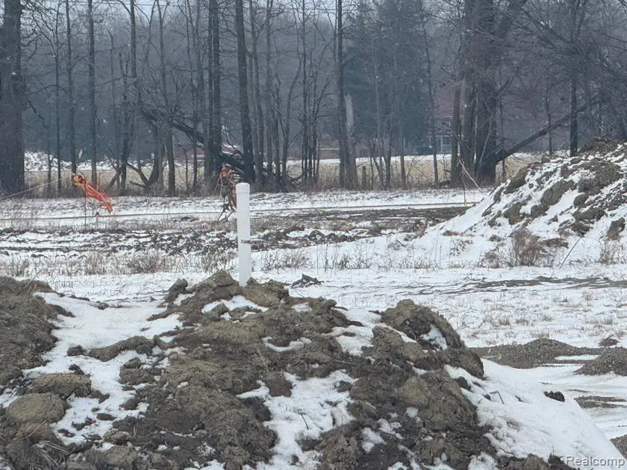 13199 Masters R Masters, Riley, MI  - #2