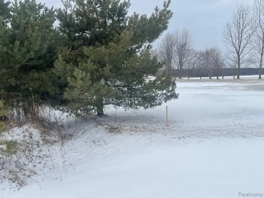 2969 Reeves, Riley, MI  - #2