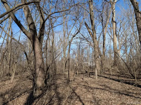 0 Jordan Lake, Lake Odessa, MI 48849