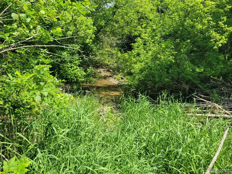 32550 26 Mile, Chesterfield, MI 48051 - #3